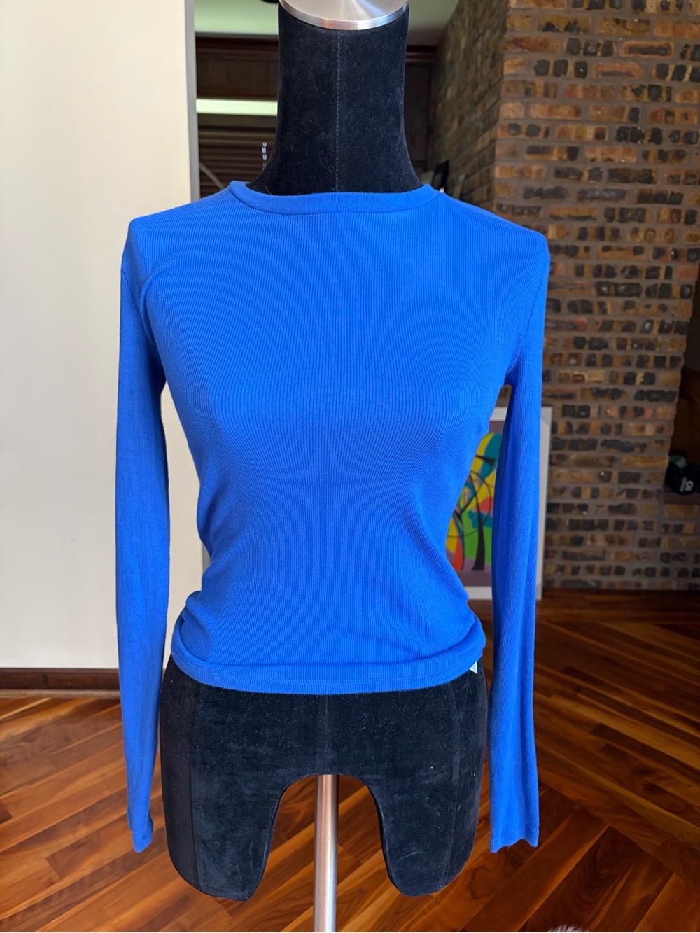 Aritzia Long Sleeve Crewneck Ribbed Top - Royal Blue